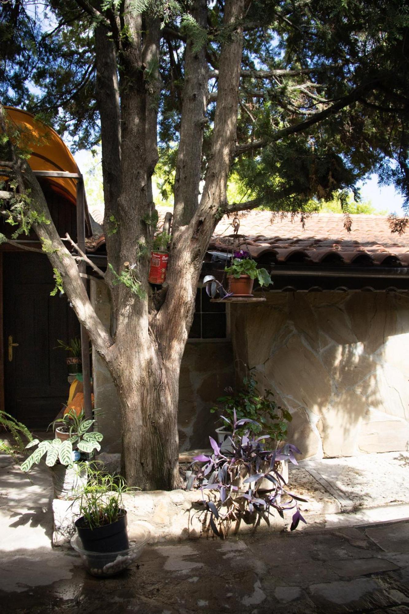 Старата Баkалия The Old Grocery, Guest Rooms Baltsjik Eksteriør bilde